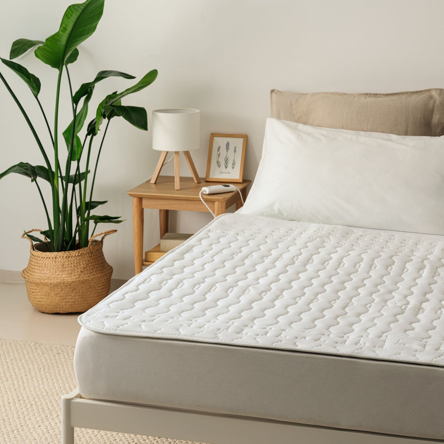 Active Cotone Singolo