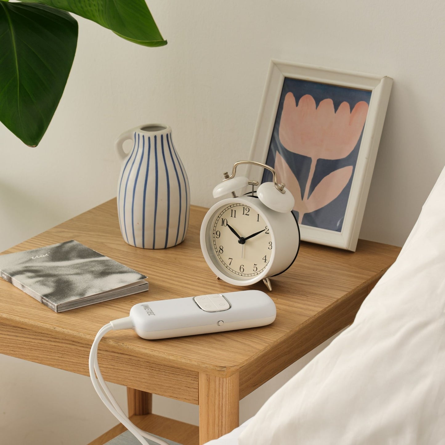 Comando Adapto® Advanced programmabile con Alexa, per tutti i modelli Adapto e Adapto Maxi*